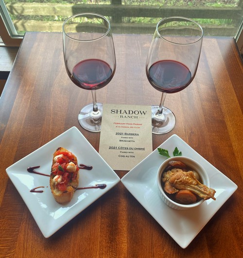 photo of two wine glasses with two plates in front. one plate has a bruschetta, the other has a chicken stew