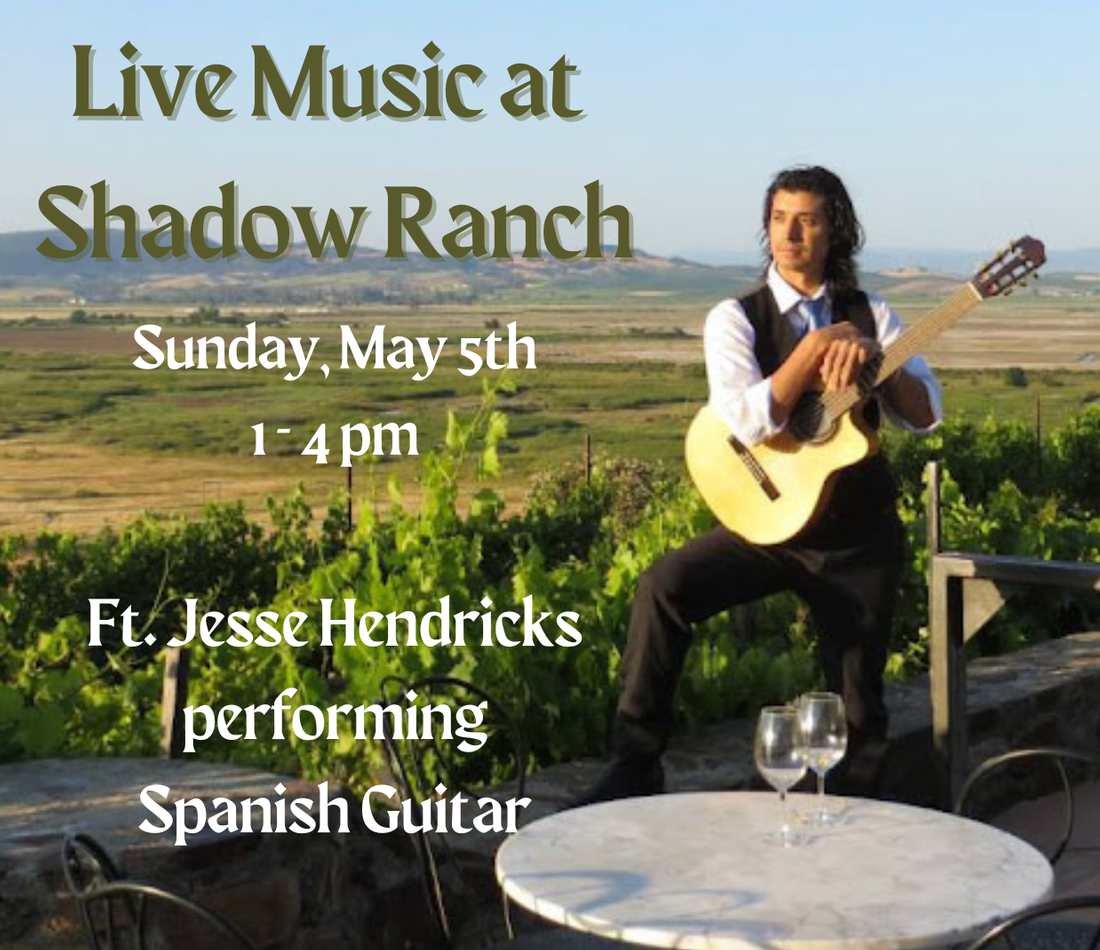 Image of man holding acoustic guitar in front of a vineyard view. Text reads Live Music at Shadow Ranch Sunday, May 5th 1-4 pm. Ft. Jesse Hendricks performing Spanish Guitar