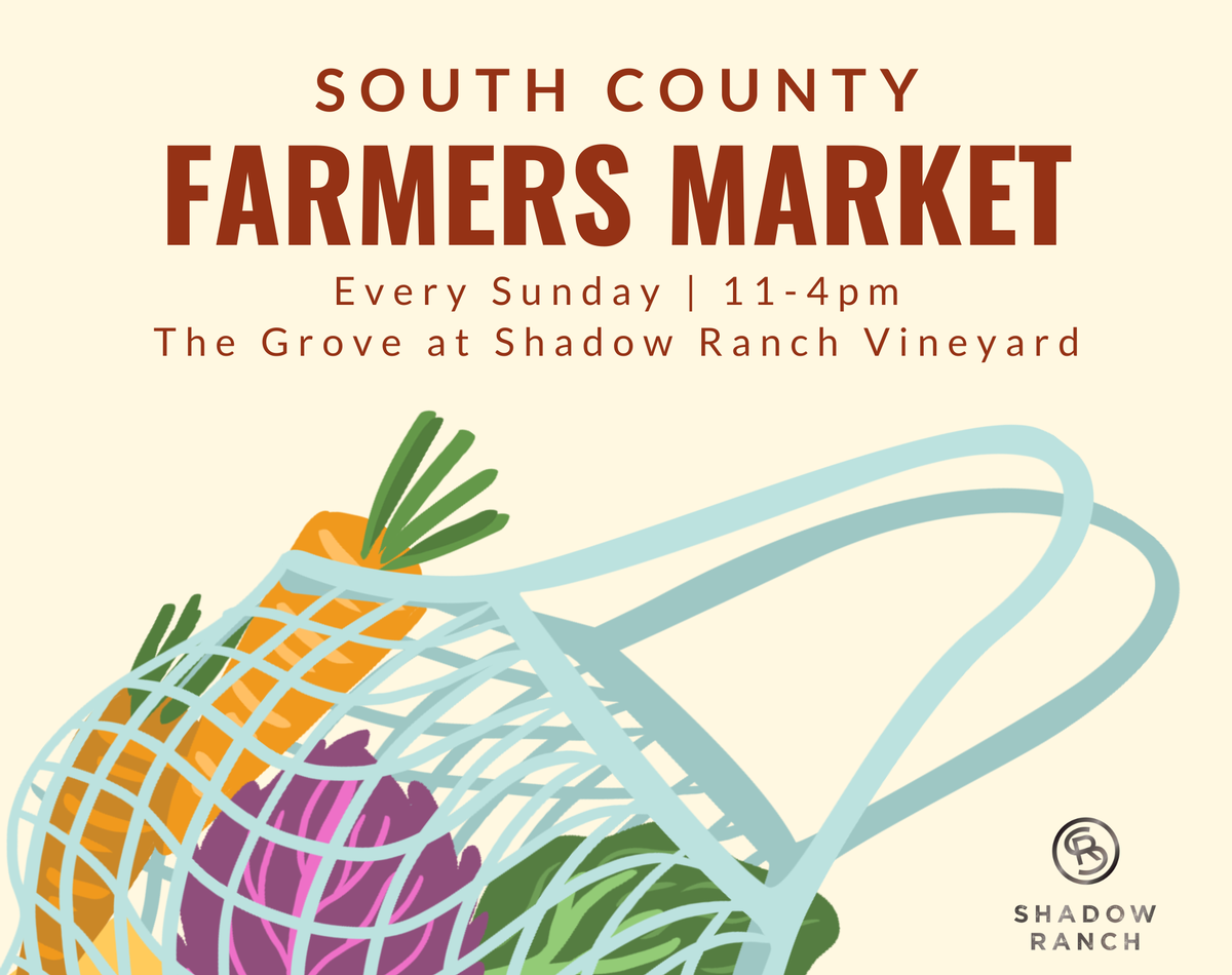 South County Farmer's Market. Every Sunday 11-4pm. The Grove at Shadow Ranch Vineyard. Cartoon of a basket full of produce