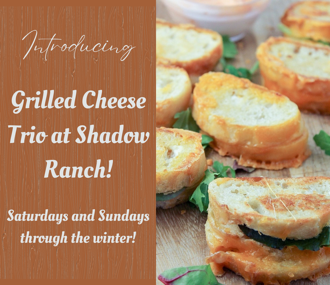 Image of small baguette grilled cheese sandwhiches. Text reads Introducing Grilled Cheese Trio at Shadow Ranch! Saturdays and Sundays through the winter