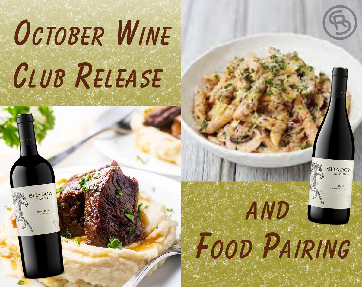 Image of a mushroom penne pasta in one corner. Image of short ribs over mashed potatoes in the other corner. Images of a bottle of Zinfandel and a bottle of Syrah overlay the photos. Text reads October Wine Club Release and Food Pairing