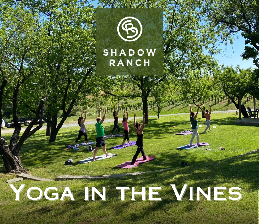 Yoga in the Vines