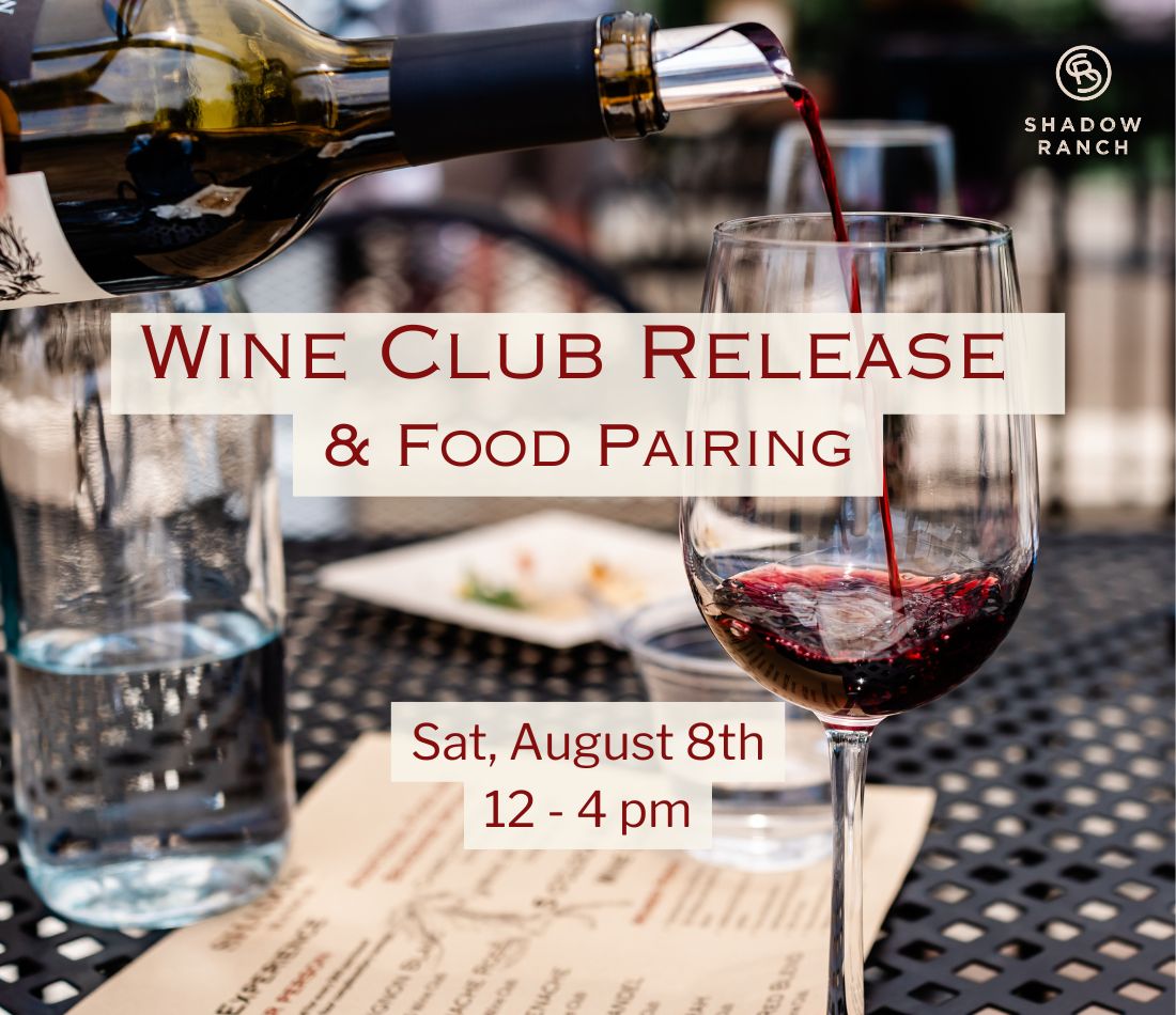 Wine and Food Pairing