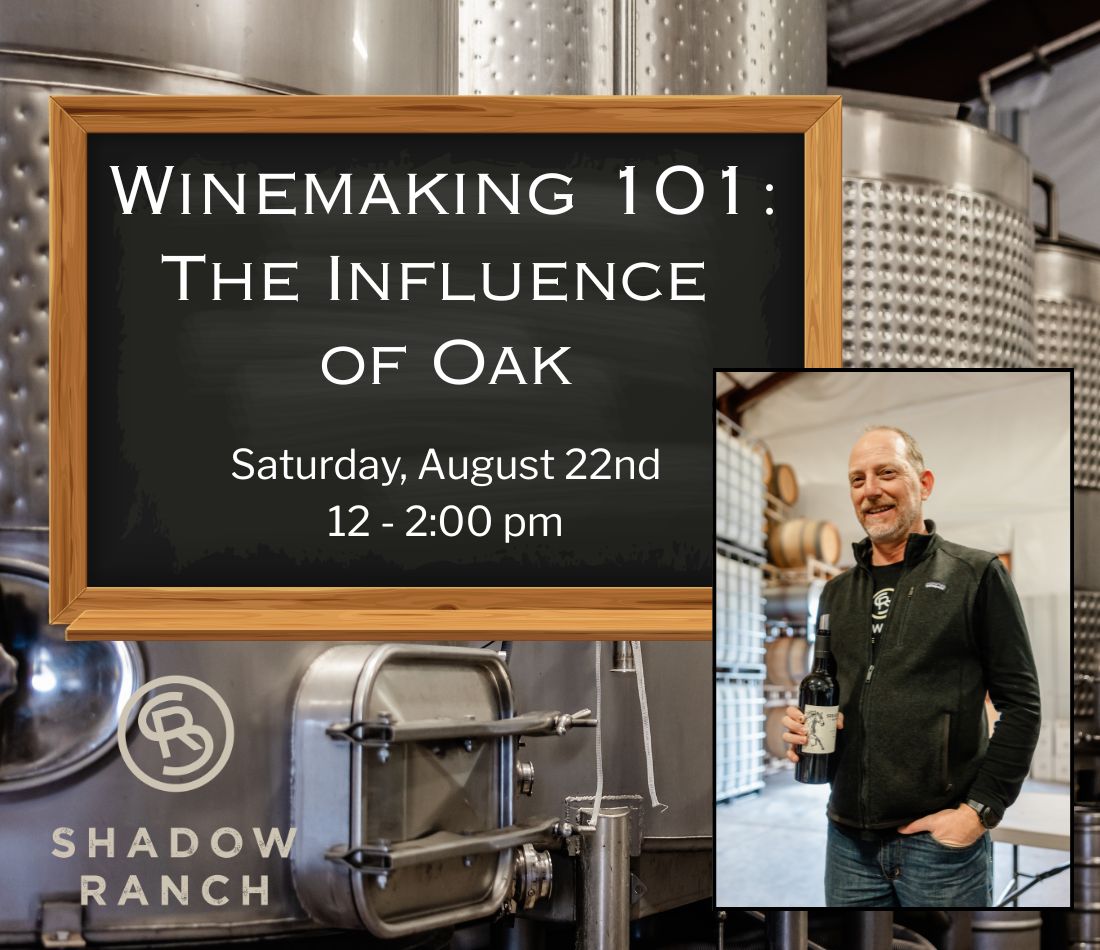 Winemaking 101: The Influence of Oak